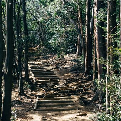 巴基斯坦提出为美伊战争谈判提供斡旋，特朗普与德黑兰释放矛盾信号